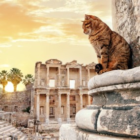 3 Days Cappadocia & Ephesus Package Tour